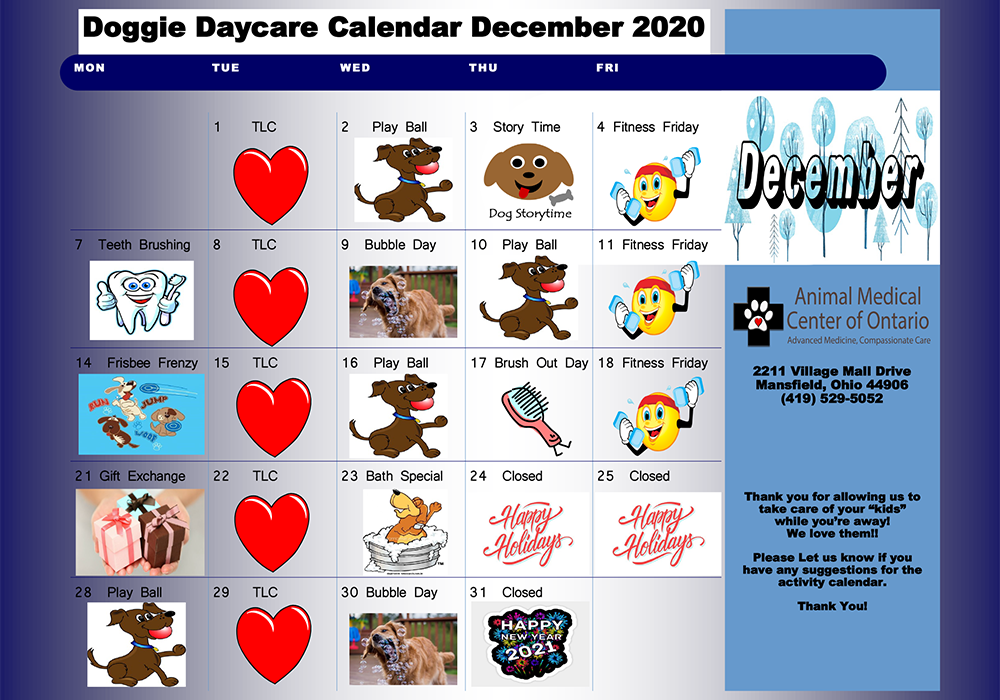 mansfied-doggie-daycare-dog-day-care-in-mansfield