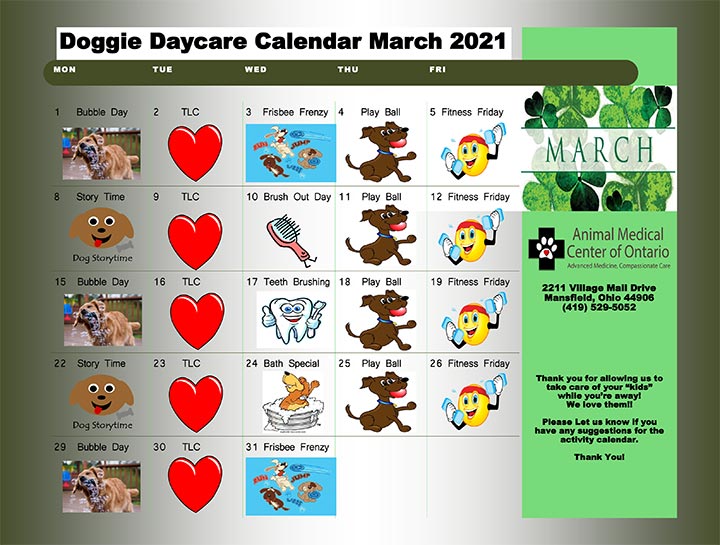 Doggie Daycare Calendar - March 2021